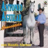 Antonio Aguilar《Te Amaré Vida Mía》[MP3/LRC]