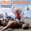 Antonio Aguilar《El Hijo Desobediente》[MP3/LRC]