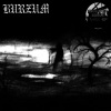 Burzum - Feeble Screams From Forests Unknown