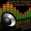 Ultimate Karaoke Stars - Somebody That I Used to Know (In the Style of Gotye)