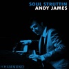 Andy James《Sunny》[MP3/LRC]