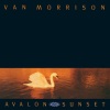 Van Morrison - Whenever God Shines His Light