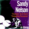 Sandy Nelson《Castle Rock》[MP3/LRC]