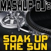 Mashup DJ's《Soak Up The Sun (Re-Mix Tool)》[MP3/LRC]