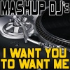 Mashup DJ's《I Want You To Want Me (Re-Mix Tool)》[MP3/LRC]