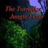 the tornados - Love and Fury