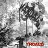 Vandal - A Song