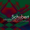 Carl Schuricht、Wiener Philharmoniker - Symphony No. 8 in B Minor: I. Allegro Moderato (feat. Carl Schuricht)