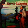 marvin rainwater - Gonna Find Me A Bluebird