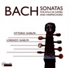 lorenzo ghielmi、Vittorio Ghielmi - Sonata for viola da gamba in D Major, BWV 1028: I. Adagio