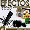 Sfx Professional Resource Studio - Electrical Sander