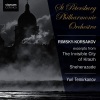 St Petersburg Philharmonic Orchestra《The Legend of the Invisible City of Kitezh and the Maiden Fevroniya: Paean to the Wilderness》[MP3/LRC]