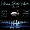 Jerusalem Symphony Orchestra - Swan Lake - Ballet In Four Acts Op. 20, Act II: 10. Scene (Moderato)