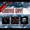 Marvin Gaye - Tear It On Down