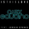Alex Gaudino、Jordin Sparks - Is This Love (Radio Edit)