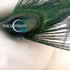 Micha Moor - Headless
