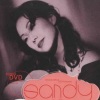 林忆莲 - 野花