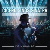 Roger Cicero - Come Fly with Me (Live in Hamburg)