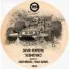 david herrero《Geometriks》[MP3/LRC]