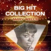 mary wells - Let Your Conscience Be Your Guide