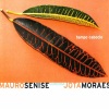 Mauro Senise - Epysódio Symphônico