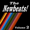 The Newbeats《I'm a Teardrop》[MP3/LRC]