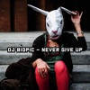 DJ Biopic - Never Give Up (Main Mix Remix)