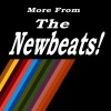 The Newbeats《Michelle De Ann》[MP3/LRC]