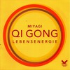 Miyagi - Days Journey