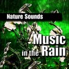 Nature Sounds - Best of Friends - Restful Rainfall