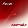 Vienna Chamber Orchestra、Akademie Kammerchor、Ferdinand Grossmann - Ich will Dir mein Herze schenken