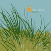 Neil Halstead - Seasons (Surf Style)