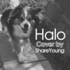 醉雪 - Halo