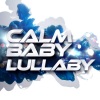 Baby Lullaby Ensemble - Metamorphosis: Metamorphosis Four