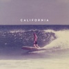 Cali Fornia - Winners