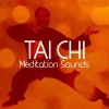 Tai Chi《Four Walls》[MP3/LRC]