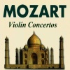 michail gantvarg《Violin Concerto No. 4 in D Major, K. 218: I. Allegro》[MP3/LRC]