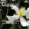 Orchestra Filarmonica Italiana、Alessandro Arigoni、Guido Rimonda - I. Allegro