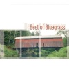 Steve Ivey、Mac Wiseman - I Am A Man Of Constant Sorrow