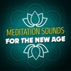 World Music for the New Age - Raku
