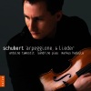 Antoine Tamestit - Arpeggione et lieder (Sonate en la mineur pour arpeggione et piano: I. Allegro moderato)