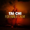 Tai Chi《Fern Leaf Curl》[MP3/LRC]