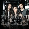 Sultan & Ned Shepard - Call My Name (feat. Nadia Ali)(Original Club Mix)