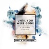 The Chainsmokers、Tritonal、Emily Warren - Until You Were Gone (Skrux & Saturn Remix)