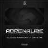 Adrenalize - Cloudy Memory