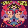 James Marvel、MC Mota - Way Of The Warrior (Original Mix)