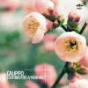 Calippo - Looking for a Meaning (Croatia Squad Remix)