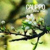Calippo - Don't Know How (Original Mix)