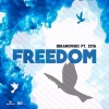 Ibranovski - Freedom (Original Mix)