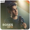 Sam Tsui - Roses